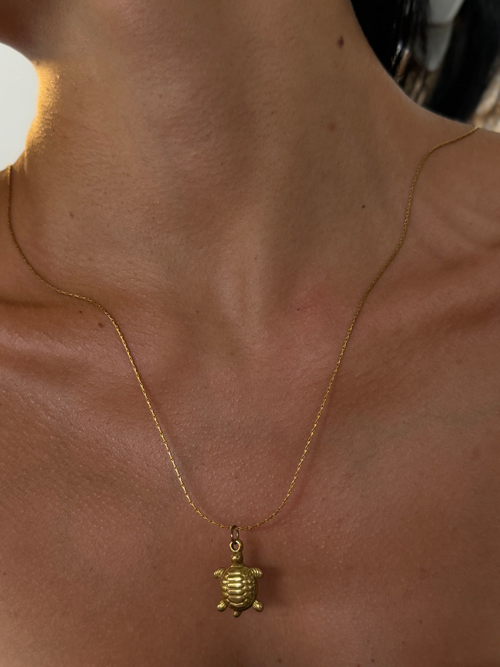 Turtle Necklace