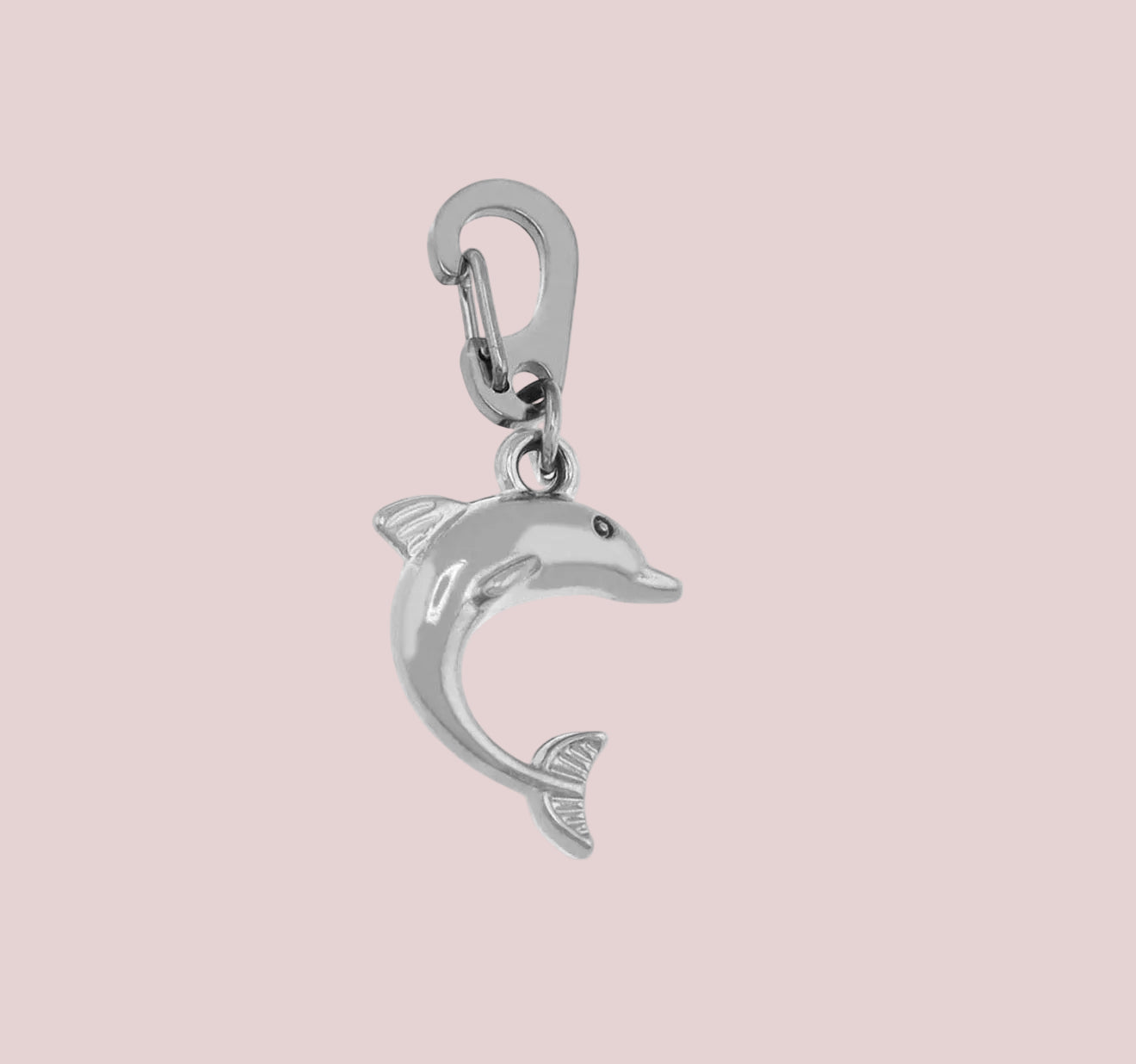 Dolphin Silver Charm