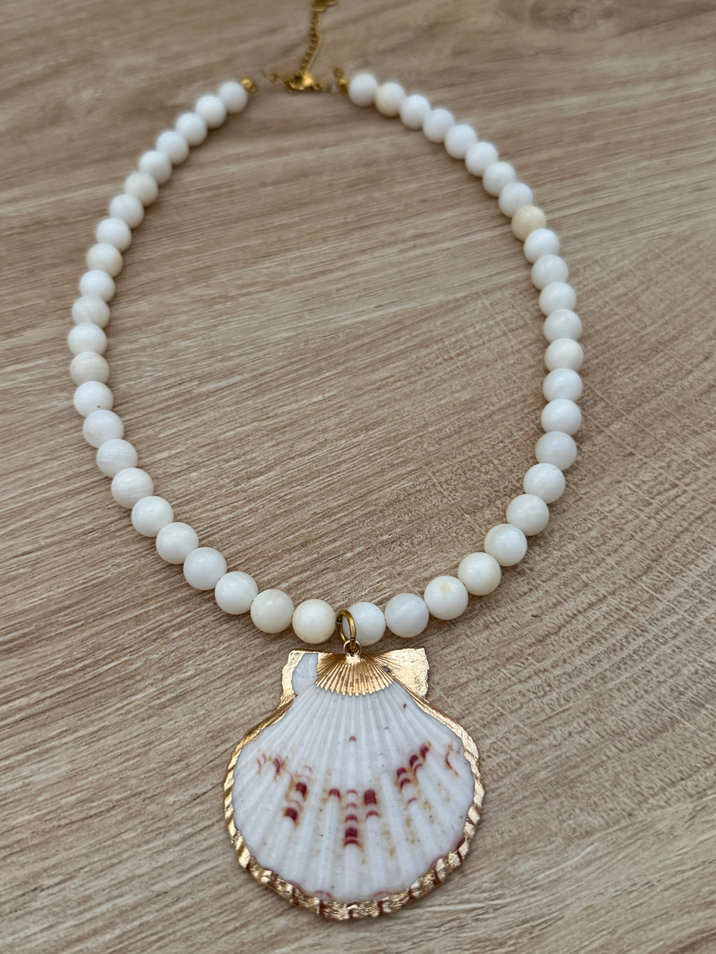 WHITE SHELL