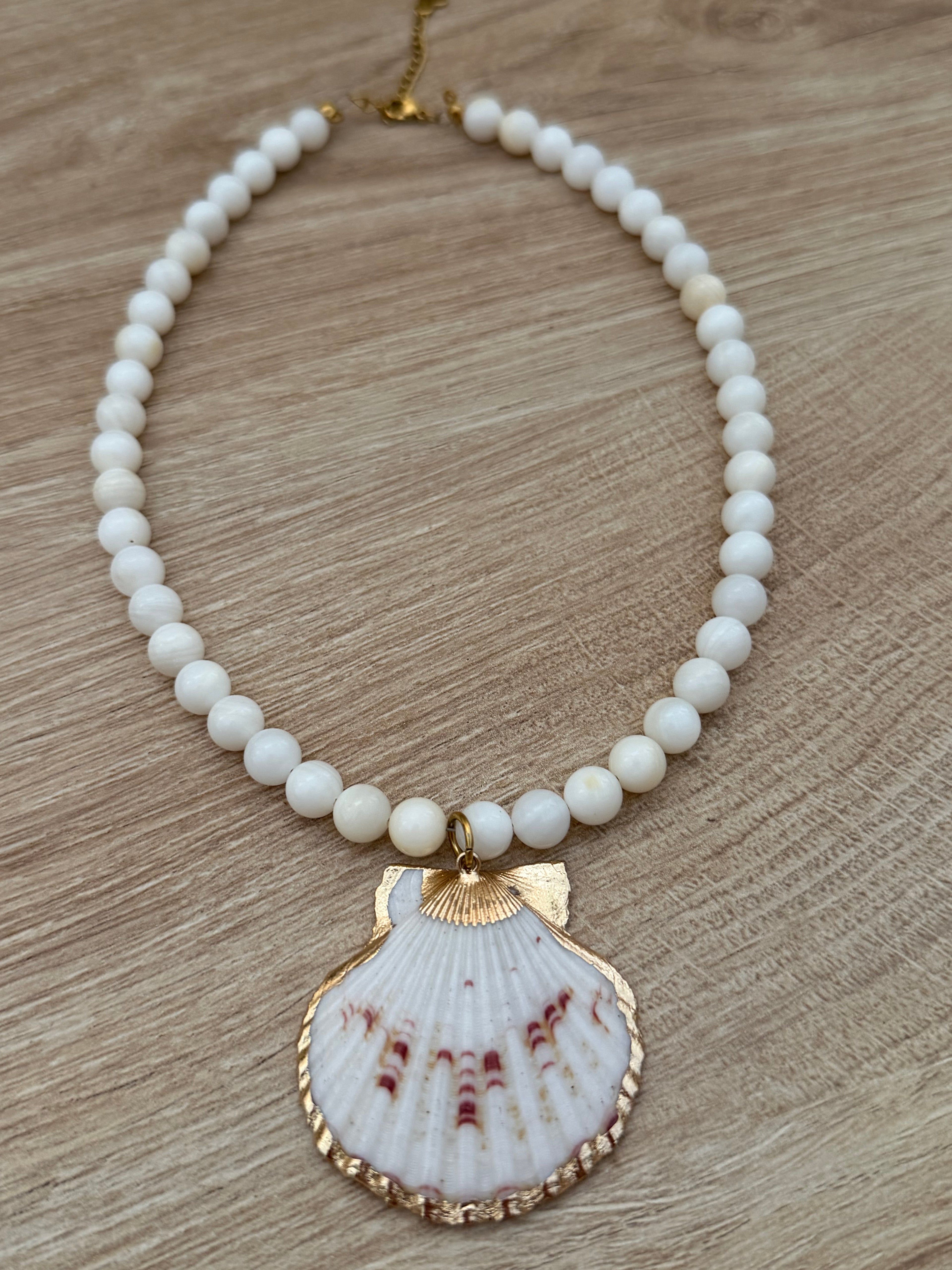 WHITE SHELL