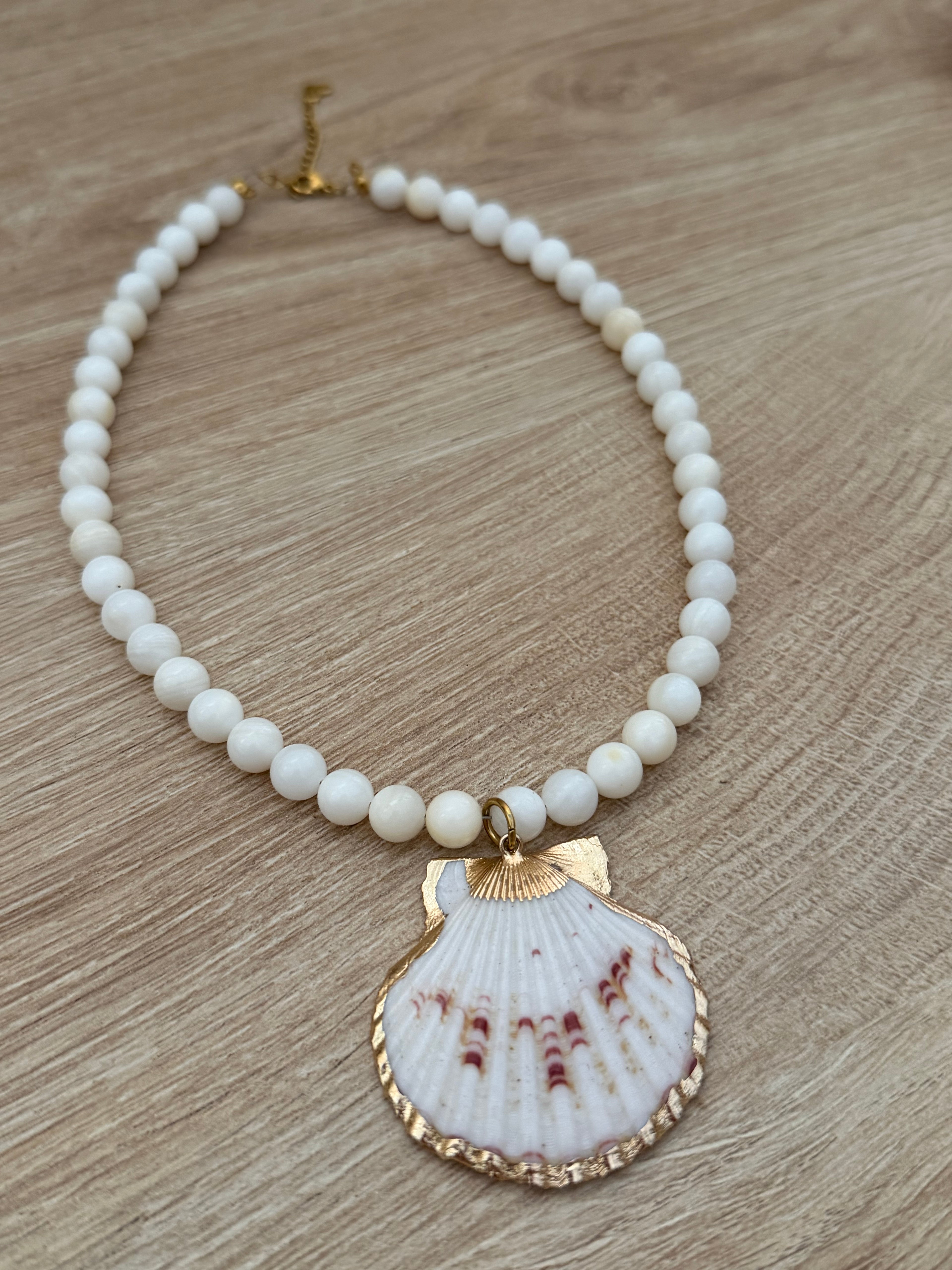 WHITE SHELL