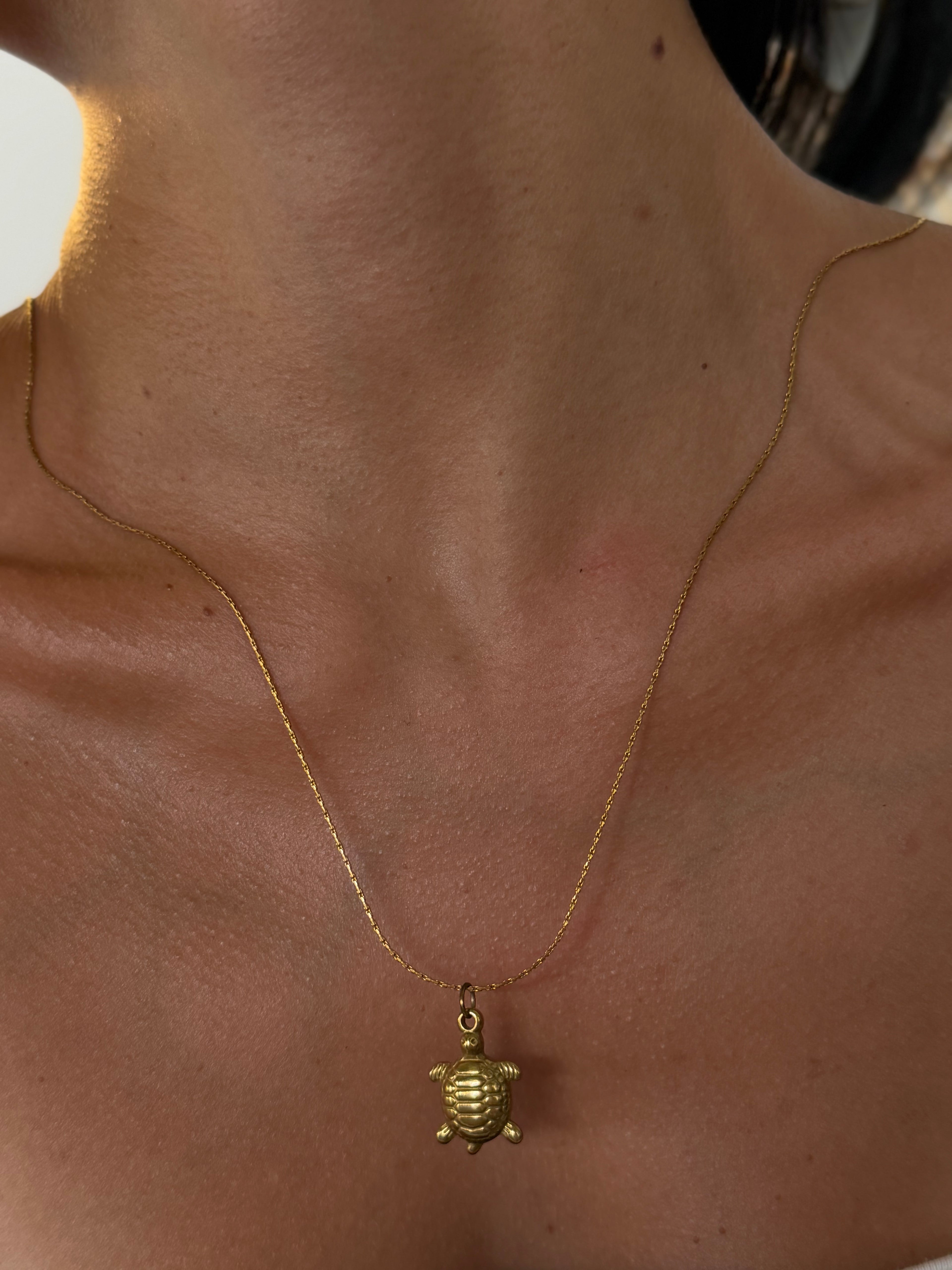 Turtle Necklace
