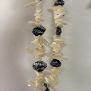 SEA SHELL