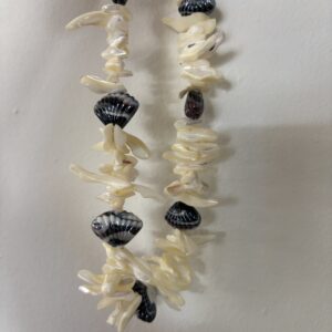 SEA SHELL