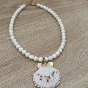 WHITE SHELL