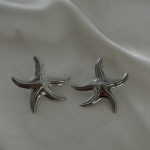 Silver starfish