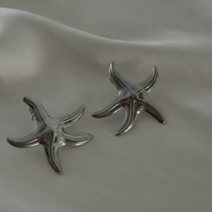 Silver starfish
